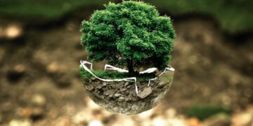 What Is Environmental Protection?