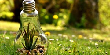 What is Carbon Dioxide?