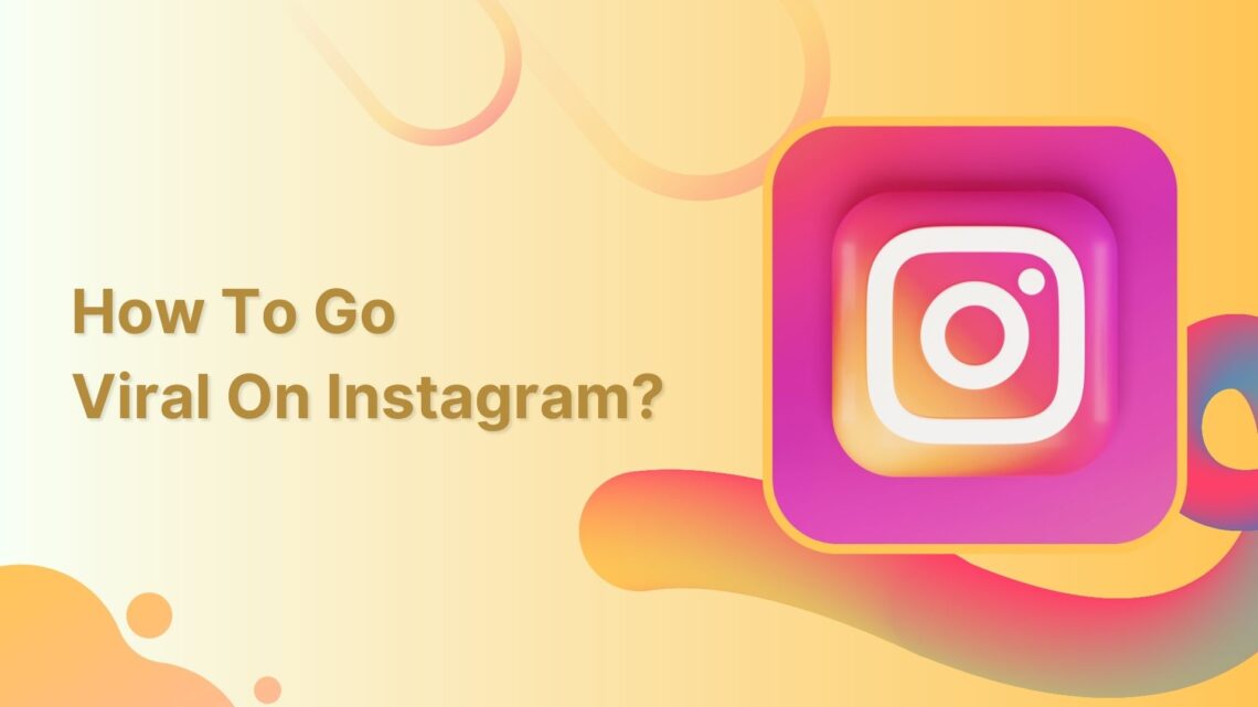 Gain Followers on Instagram