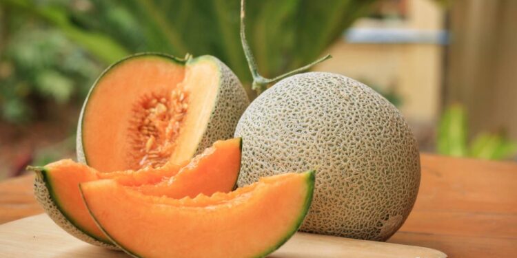 Fruits Melon Nutritional Facts and Health Benefits