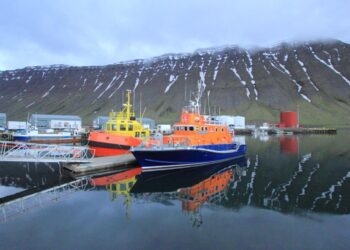 Roaming The World: Adventures Of A Traveler 