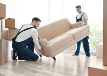 Professional Movers