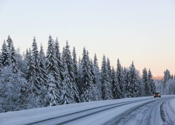 Bull Rock Salt Supply
