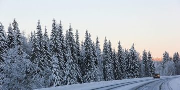Bull Rock Salt Supply
