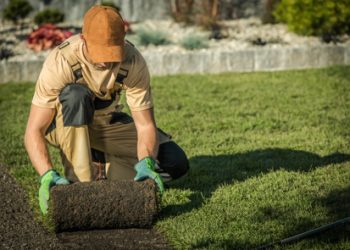 Curb Appeal Improvement