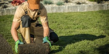 Curb Appeal Improvement