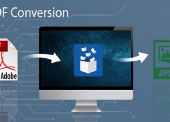 Everything You Need to Know About Hiring Digital Document Conversion Services