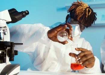 Navigating Bioavailability and Bioequivalence Studies