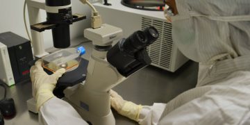 Navigating Bioavailability and Bioequivalence Studies