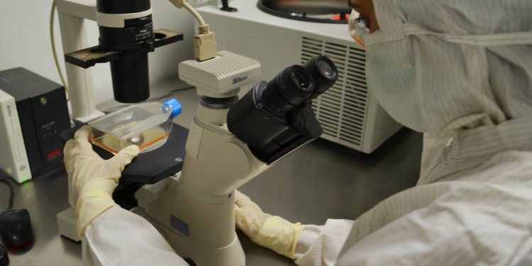Navigating Bioavailability and Bioequivalence Studies