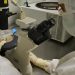 Navigating Bioavailability and Bioequivalence Studies