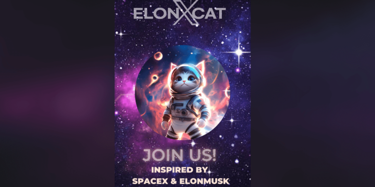 elonxcat