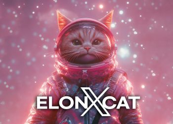 elonxcat